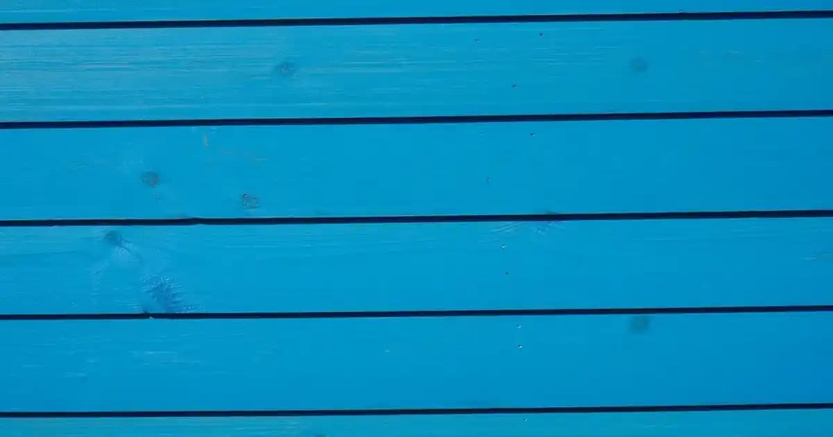 Welsoft Yıkama Eldivenleri: Araç Temizliğinde Yeni Nesil Hijyen ve Etkinlik Çözümü