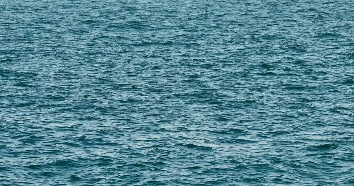 Xiaomi Akıllı Mop Cihazları ile Ev Temizliğinde Yeni Nesil Çözümler