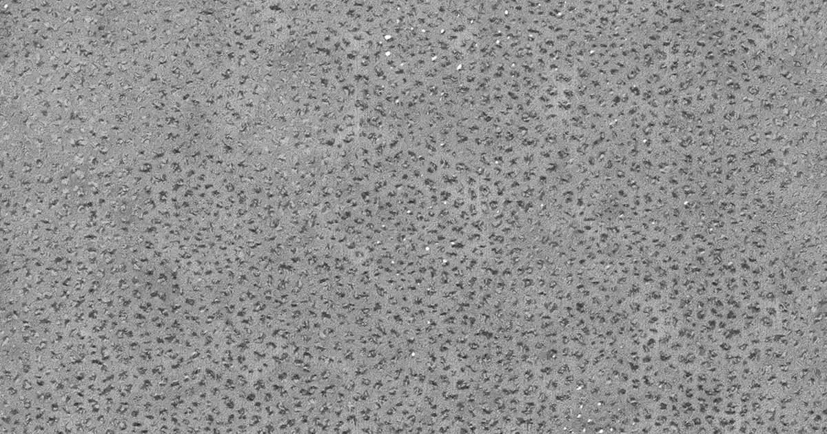 Yüksek Performanslı Hoparlörlerin Özellikleri ve Kullanım Alanları Analizi