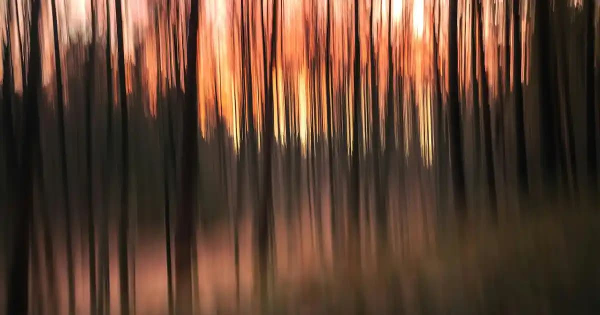 Yüksek Performanslı IPTV Uydu Alıcılarının Teknik Özellikleri ve Kurulum Rehberi