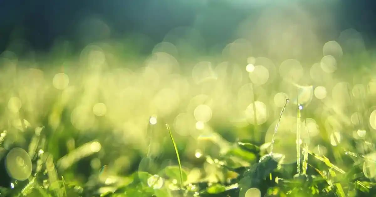 Yüksek Ses Kalitesi ve Konfor Sunan Kulaklık Seçiminde Dikkat Edilmesi Gerekenler