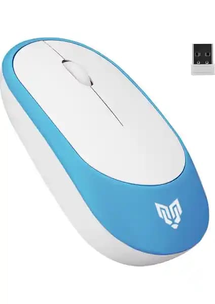 Blueforce W314 ve Everest SMW-973 Kablosuz Mouse Karşılaştırması
