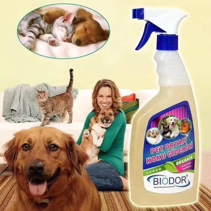 Evcil Hayvan Kokusu İçin Hava Temizleyici Seçimi: Levoit ve Alternatif Filtre Teknolojileri