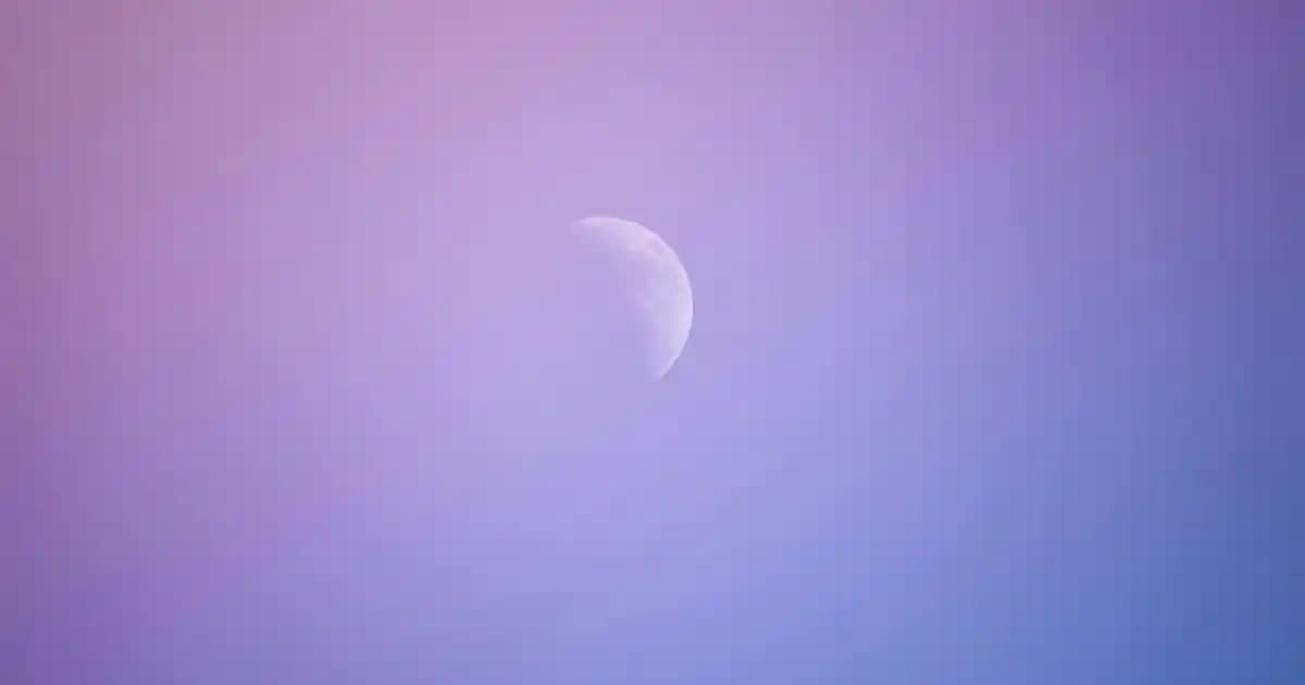 Sebo Elektrikli Süpürge Modelleri: K3, E3 ve D4 Karşılaştırmalı Seçim Rehberi