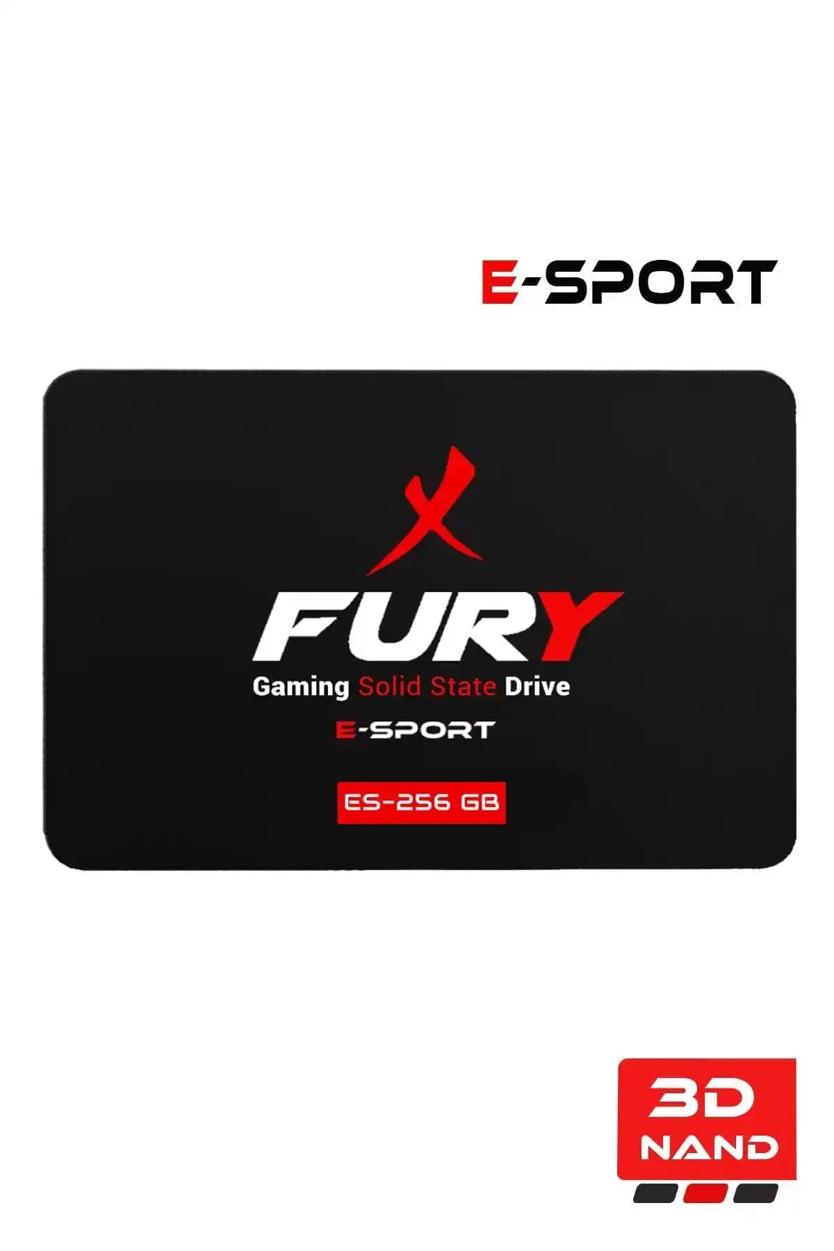 FURY E-sport 256 GB ve Hi-Level 128 GB SSD Karşılaştırması ve Özellikleri