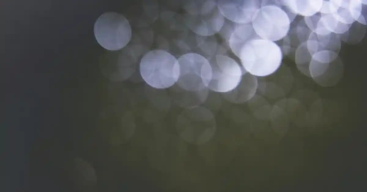 Xiaomi Redmi 8: Uygun Fiyatlı, Güçlü Batarya ve Dengeli Performanslı Akıllı Telefon