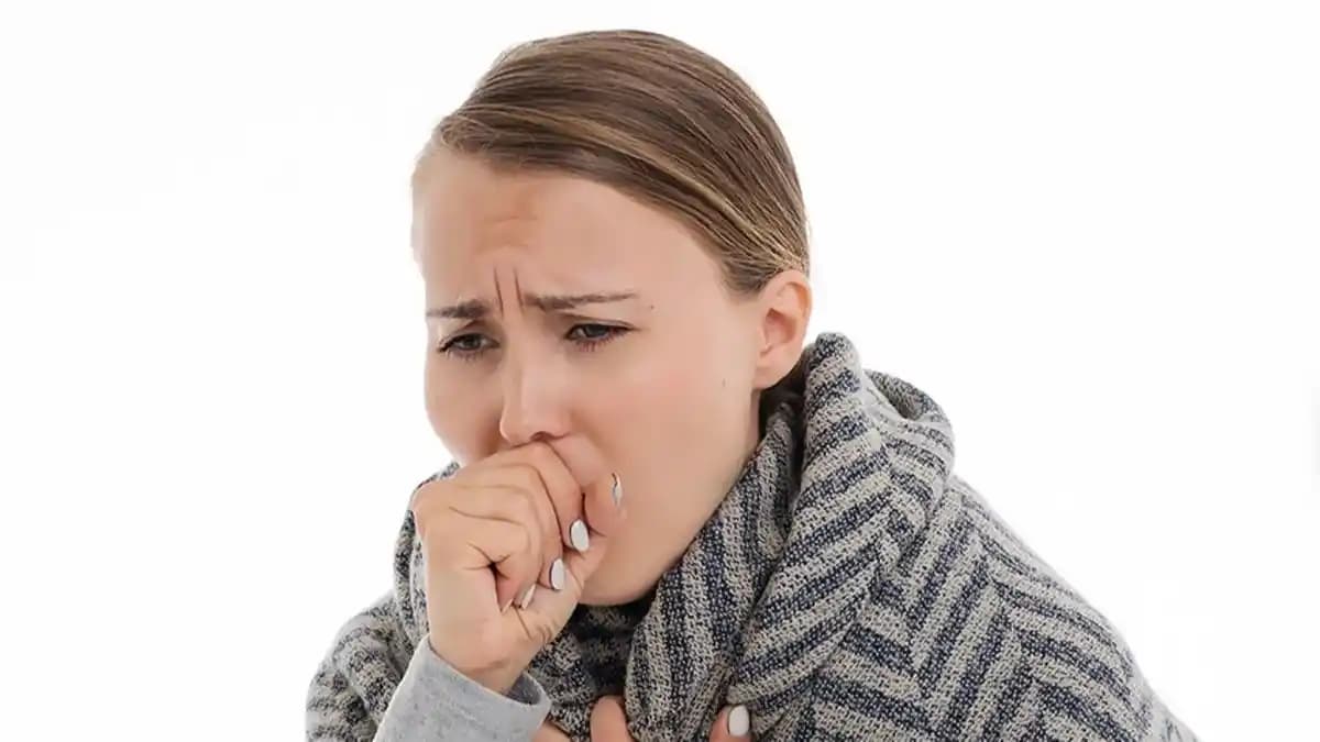 Düşük Bakım Gerektiren Nemlendiriciler: Türler, Modeller ve Bakım İpuçları