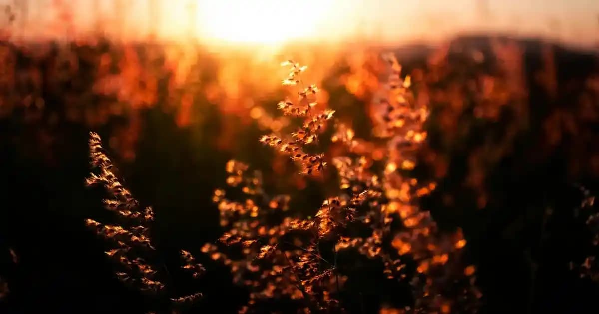 Günlük Hayatta Vazgeçilmez Teknolojik Cihazlar ve Kullanım Alanları Üzerine Analiz