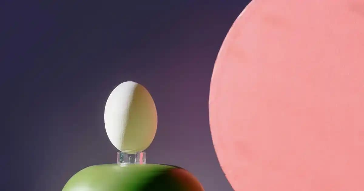 NineSky Nem Alma Cihazı Float Anahtarı Sorunları ve Pratik Çözümleri