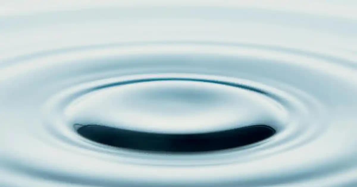 Orta Batı Amerika'da 1+1 Daire İçin Hava Temizleyici Seçim Kriterleri ve Modelleri