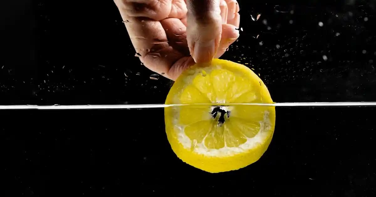 Orta Çekmeceli Dondurucu Buzdolabı Modelleri, Teknik Özellikleri ve Marka Karşılaştırmaları