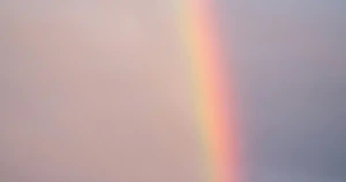 Oyun Dizüstü Bilgisayarları İçin Geniş Hacimli ve Dayanıklı Laptop Çantası Seçimi