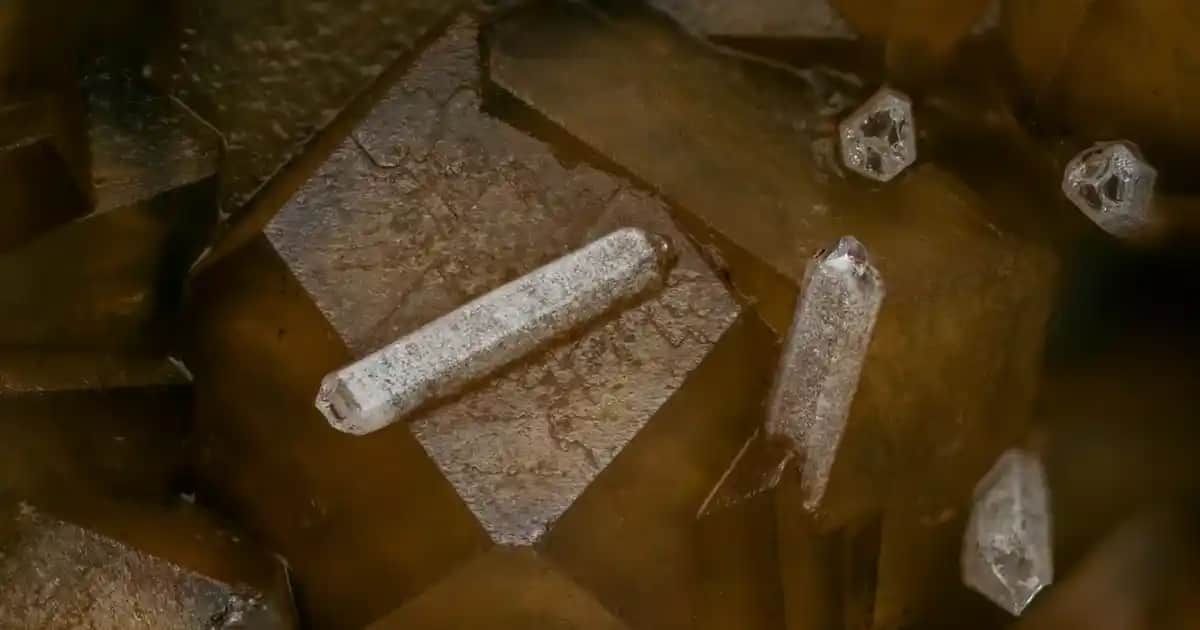 Akaso V50X: Uygun Fiyatlı 4K Aksiyon Kamerası ile Maceralarınızı Kaydedin