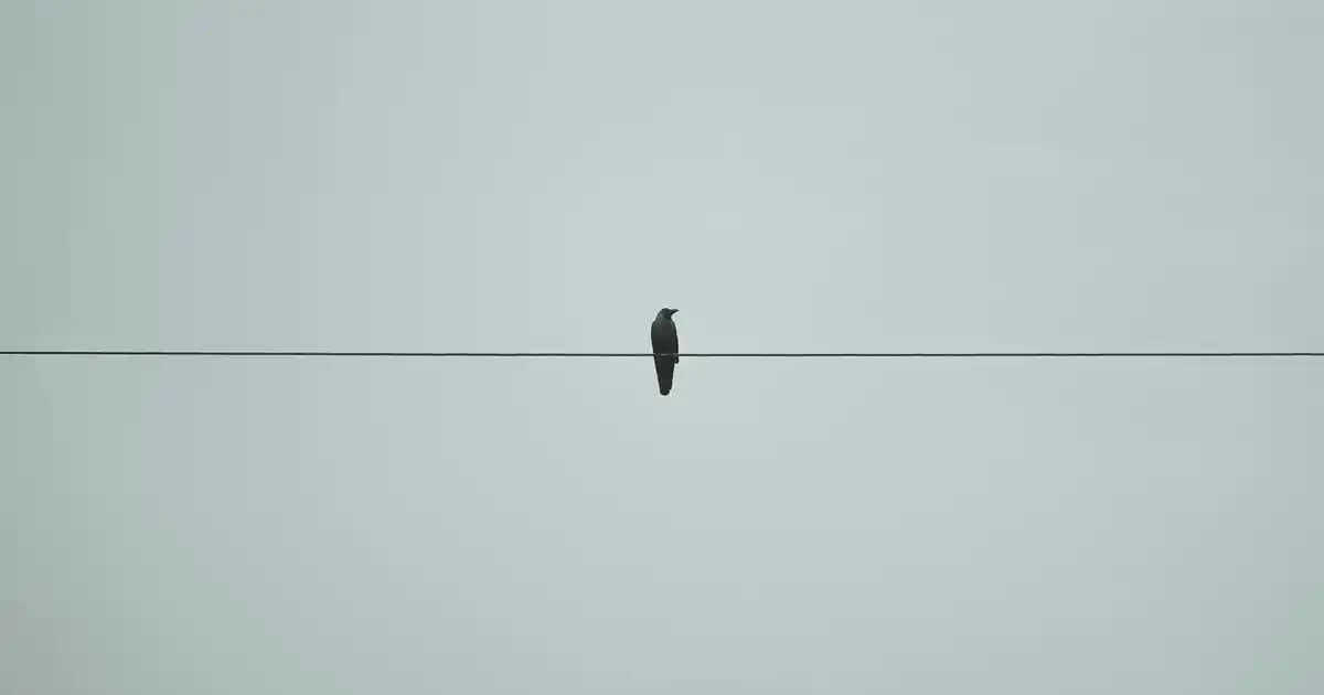 Altus 18.000 BTU Klima: Yüksek Performans ve Enerji Verimliliği Sağlayan Soğutma Çözümü