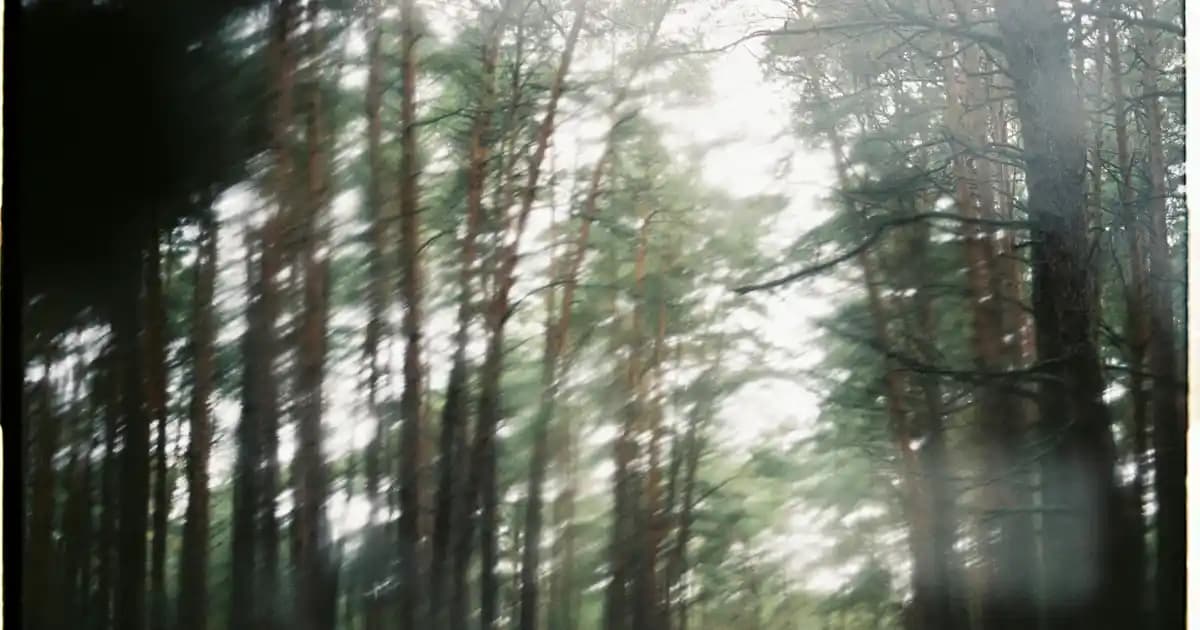 2025'te Kablosuz Kulaklıkta Devrim: Anker Soundcore Life Tune ile Tanışın