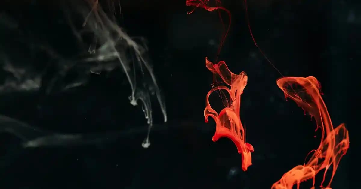 Arçelik Klima Kumandası Telefonla Kontrol Özelliği ve Akıllı Ev Entegrasyonu