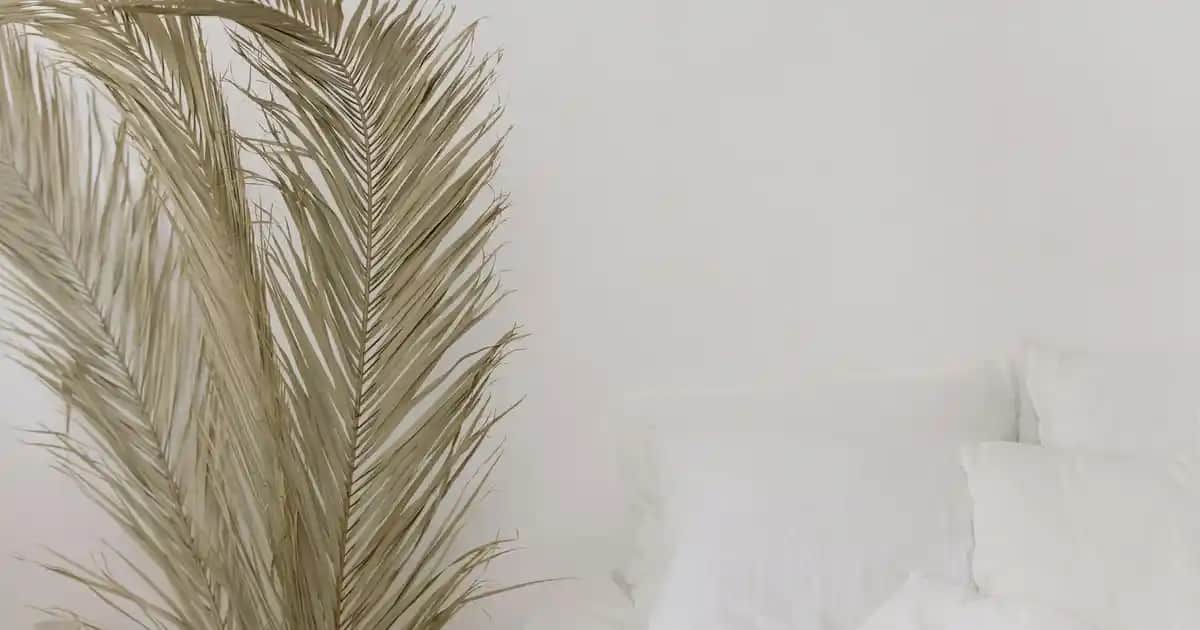 Arzum Fön Makinesi Modelleri ve Özellikleri ile Profesyonel Saç Bakımı