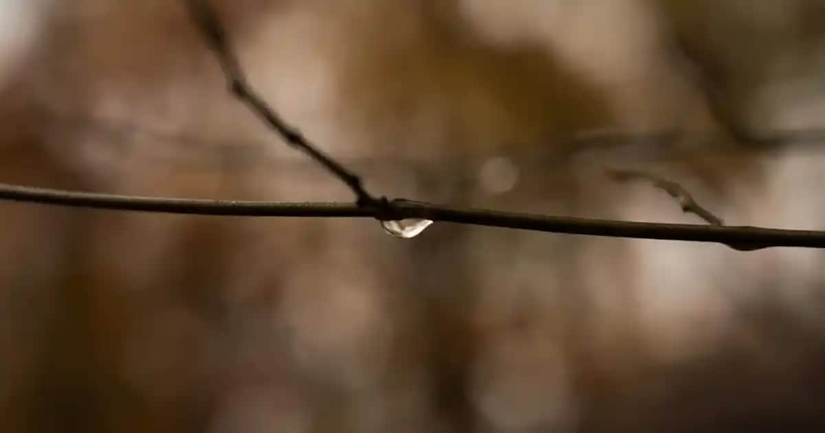 Arzum Superstar Saç Düzleştirici: Yüksek Performanslı ve Yenilikçi Saç Şekillendirme Çözümü