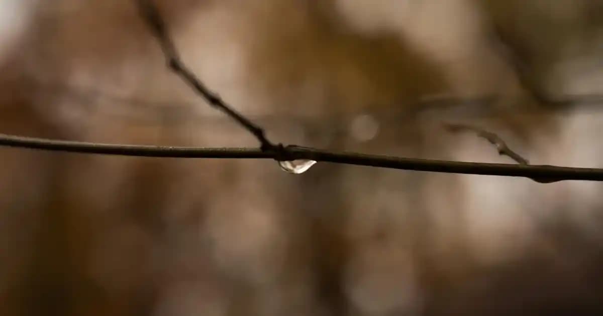 Arzum Superstar Saç Düzleştirici: Yüksek Performanslı ve Yenilikçi Saç Şekillendirme Çözümü