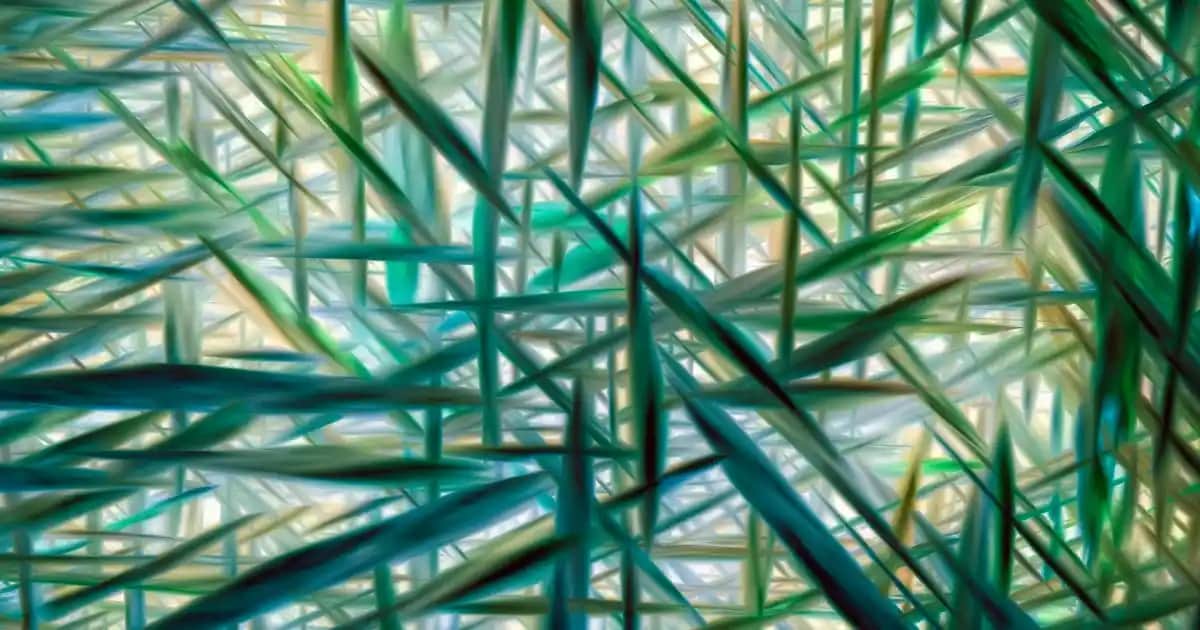 ASUS ROG Strix GeForce RTX 4060: Yüksek Performanslı Oyun ve Yaratıcı Çalışma Kartı