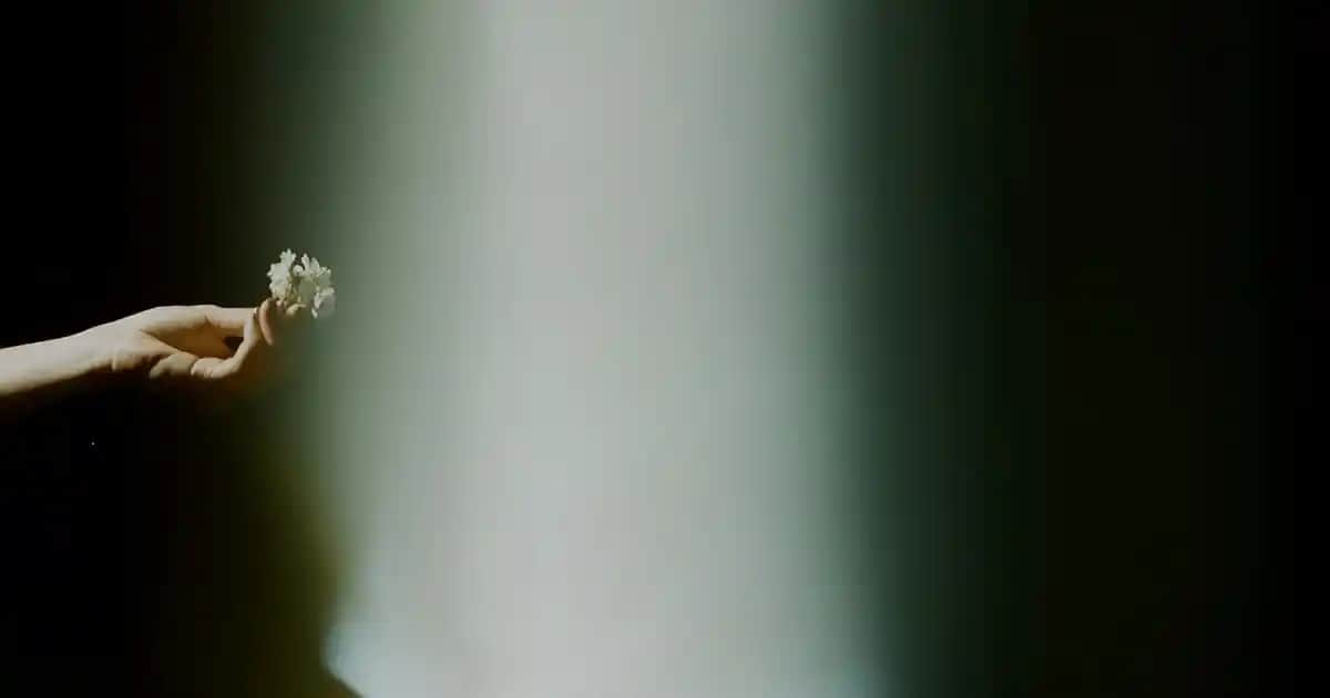 Beko Air Fryer ile Sağlıklı ve Pratik Pişirme Deneyimi Yaratın