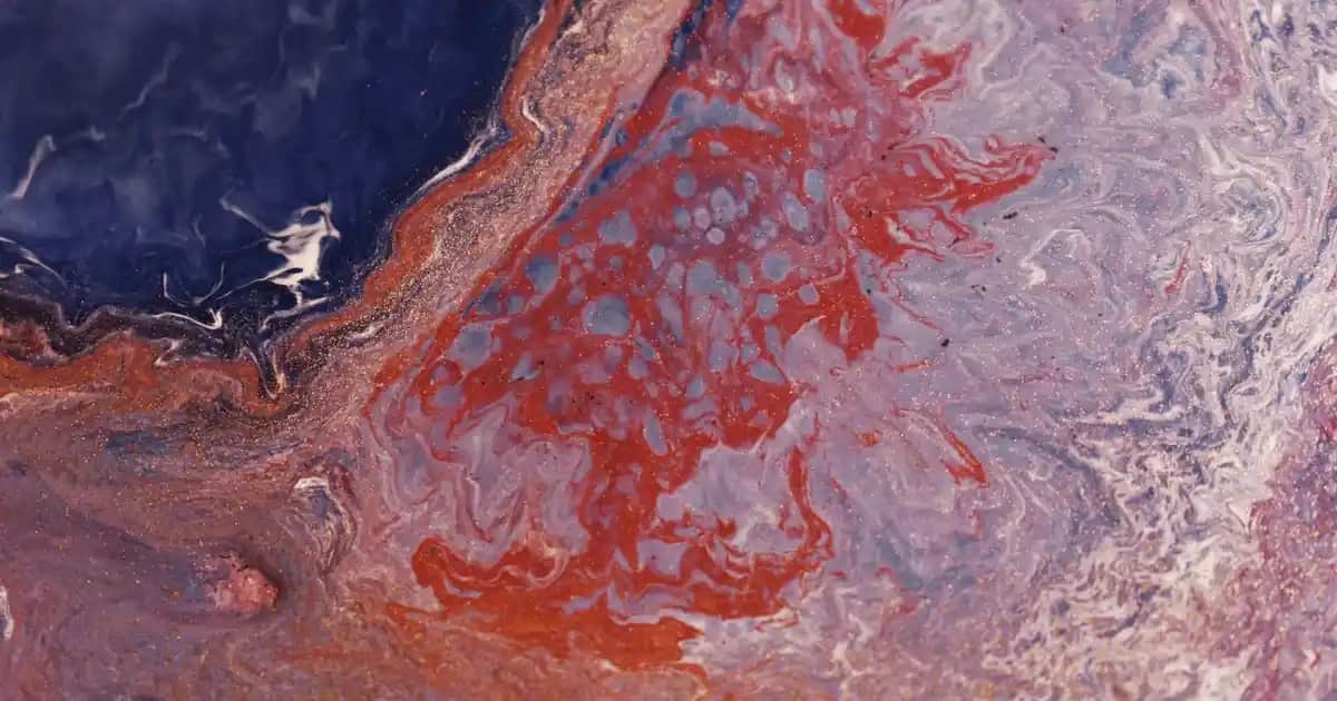 Botech Wzone Elektronik ve Aksesuarlar Platformu Güvenilir ve Geniş Ürün Yelpazesiyle