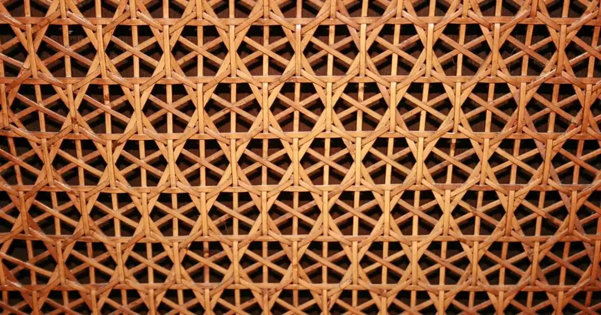 Buharlı Paspaslar: Sağlıklı ve Etkili Temizlik İçin Modern Çözüm Rehberi