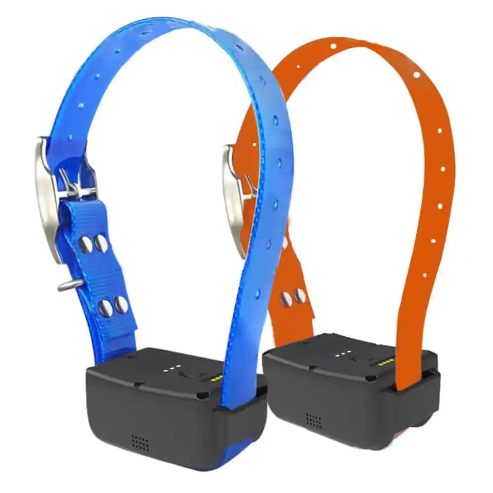 Deri Altı Hayvan Takip Cihazları: Hayvan Sağlığı ve Güvenliği İçin Gelişmiş Teknolojiler