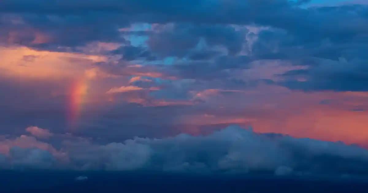 Dikey Süpürge Emiş Gücü Karşılaştırması En İyi Modeller ve Özellikler