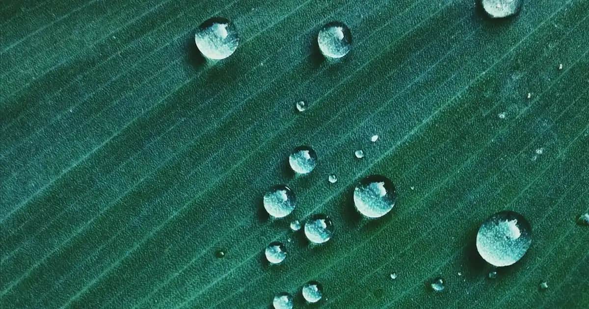 Disco Topu Nedir ve Neden Popülerdir? Dekorasyon ve Eğlence İçin Uygun Seçenekler