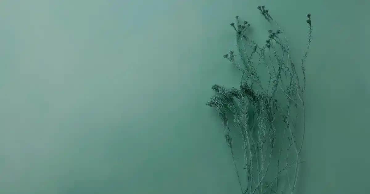 Dyson V14 Elektrikli Süpürge Özellikleri ve Teknolojisi Üzerine Kapsamlı İnceleme