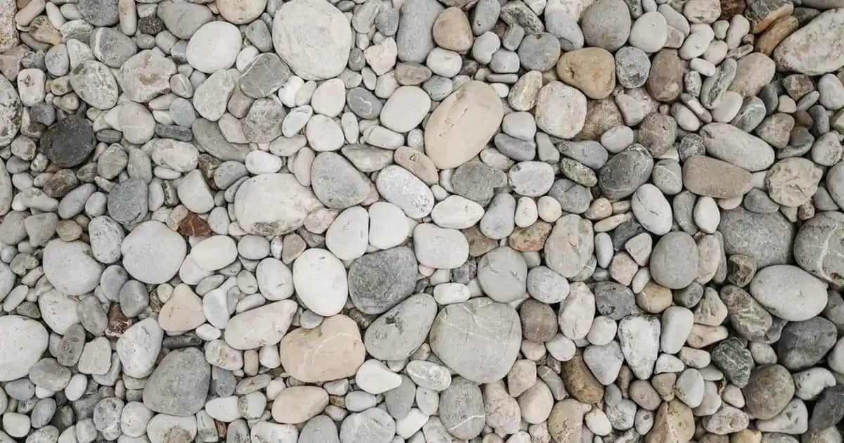 Elektronik ve Aksesuarlar İçin Dayanıklı ve Ergonomik Dosya Taşıma Arabaları Rehberi