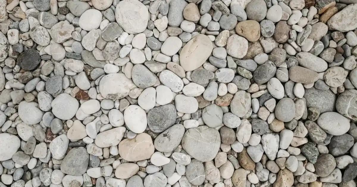 Elektronik ve Aksesuarlar İçin Dayanıklı ve Ergonomik Dosya Taşıma Arabaları Rehberi