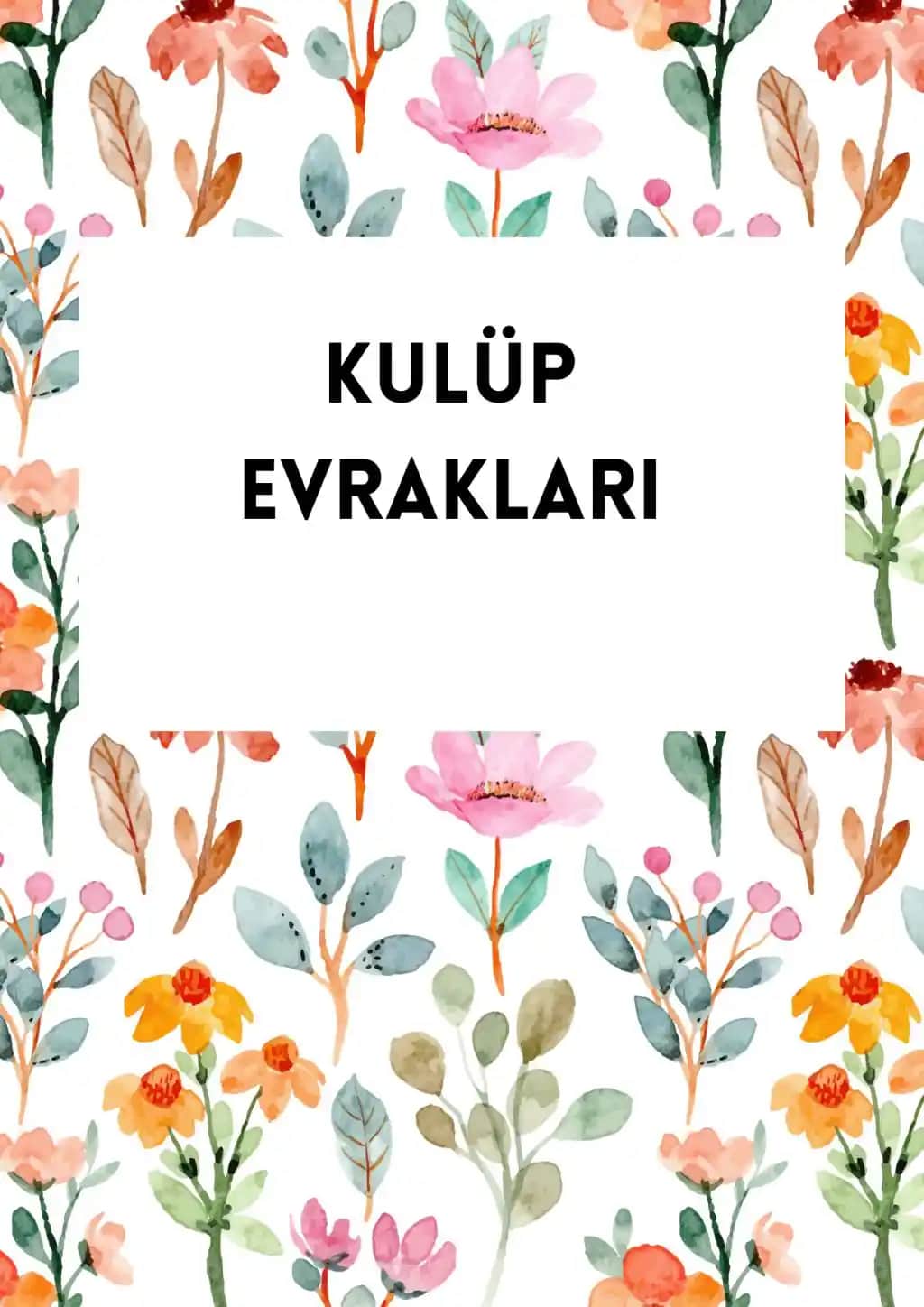 Elektronik ve Aksesuarlar İçin Dosya Kapaklarının Önemi ve Kullanım Alanları