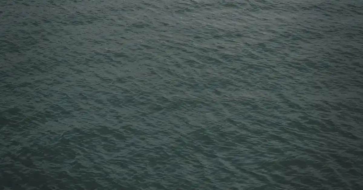 Elektronik ve Aksesuarlar Kategorisinde Ütü Resimleri: Trendler ve Kullanım Alanları