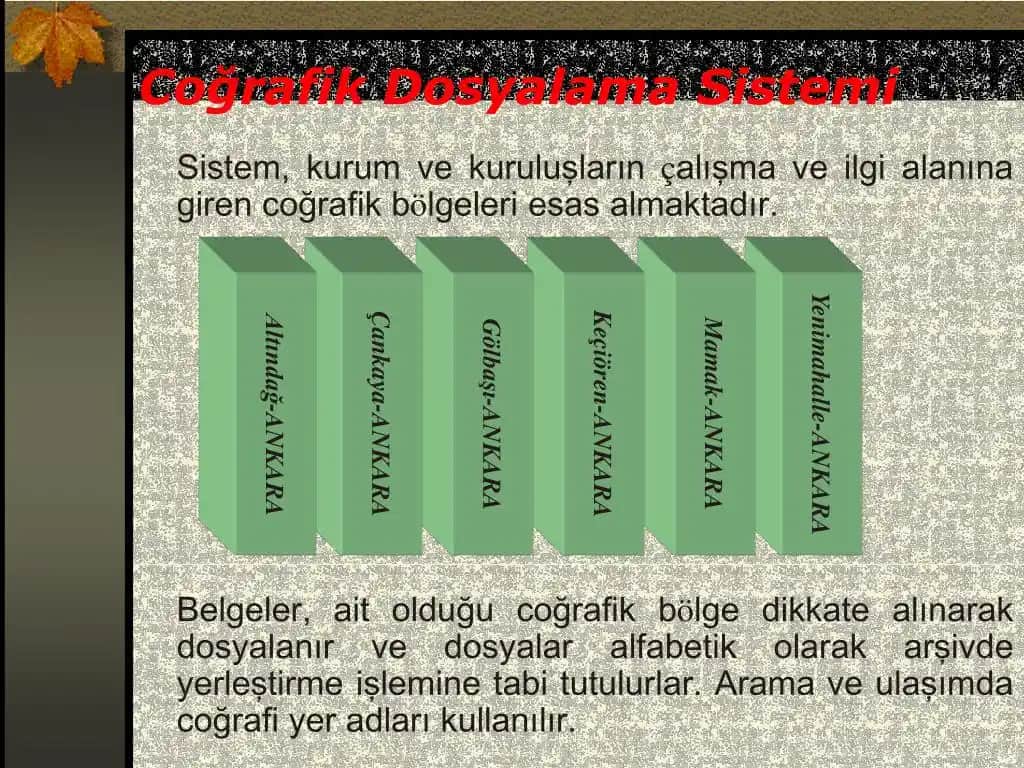 Elektronik ve Elektronik Aksesuarları İçin Etkili Dosyalama Sistemleri Rehberi