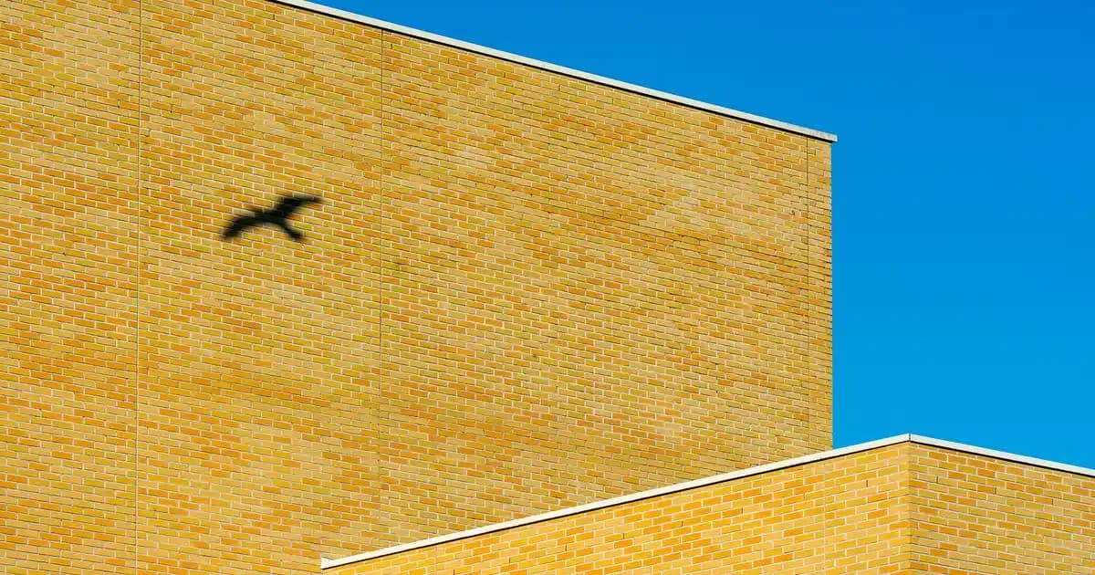 En İyi Laptop Markası Seçimi: Hangi Marka Laptop Almalıyım? Kapsamlı Rehber