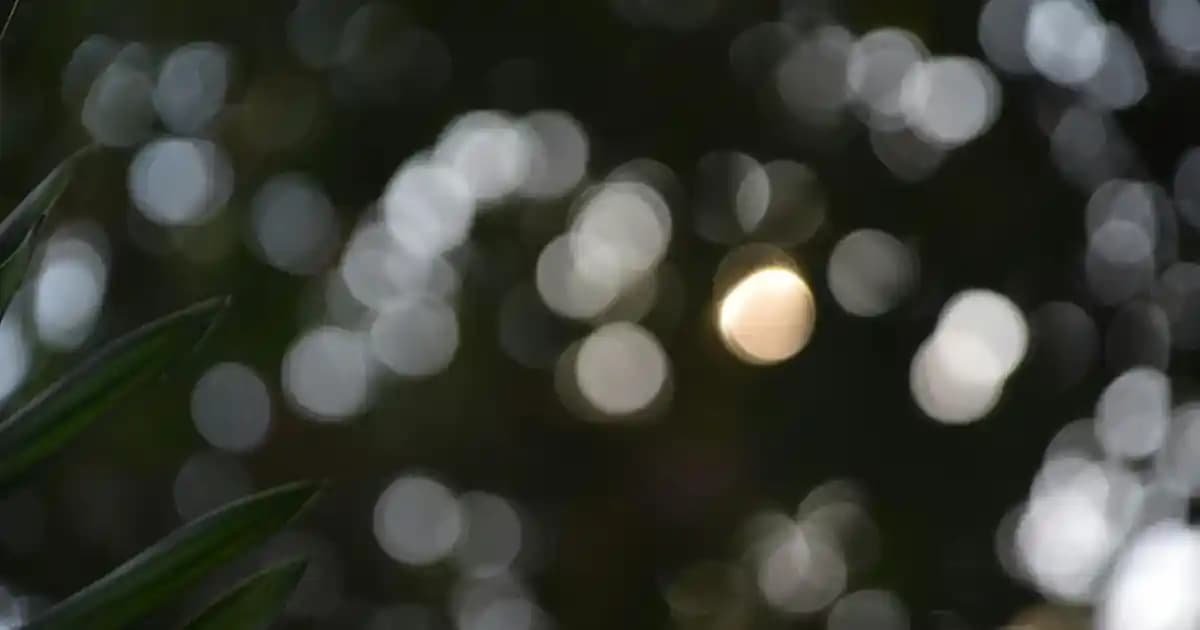 Fakir WD 7 Pure & Clean: Elektronik Temizlik ve Bakımında Yeni Bir Dönem