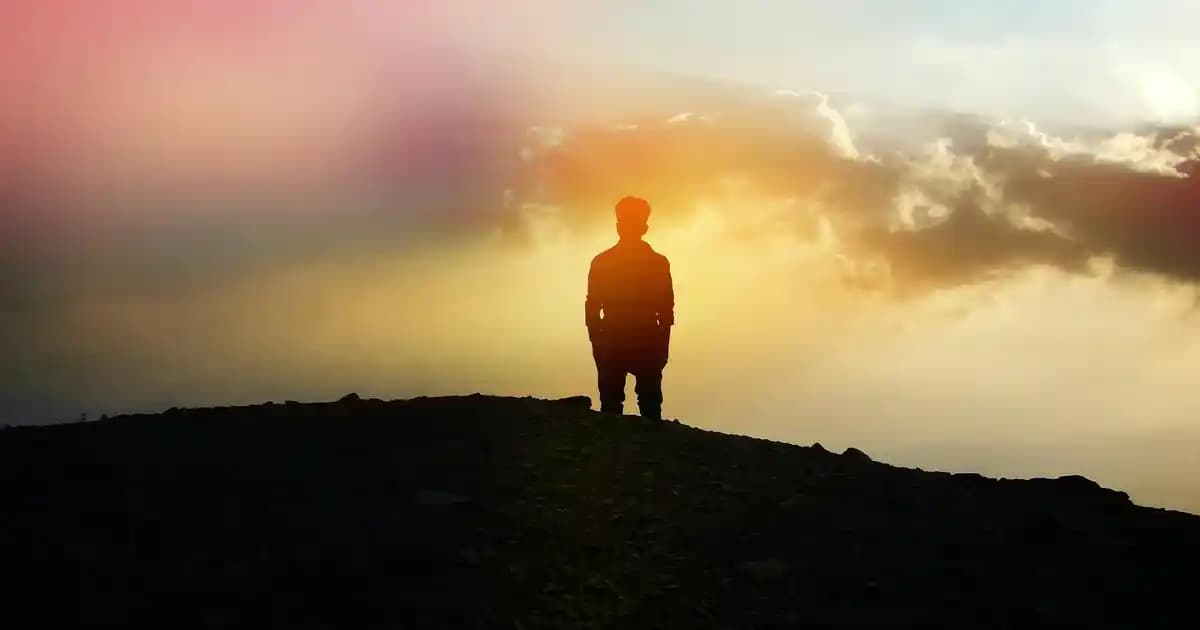 Fantom Halı Yıkama Makineleri: Derinlemesine Temizlik ve Hijyen İçin En İyi Seçenekler