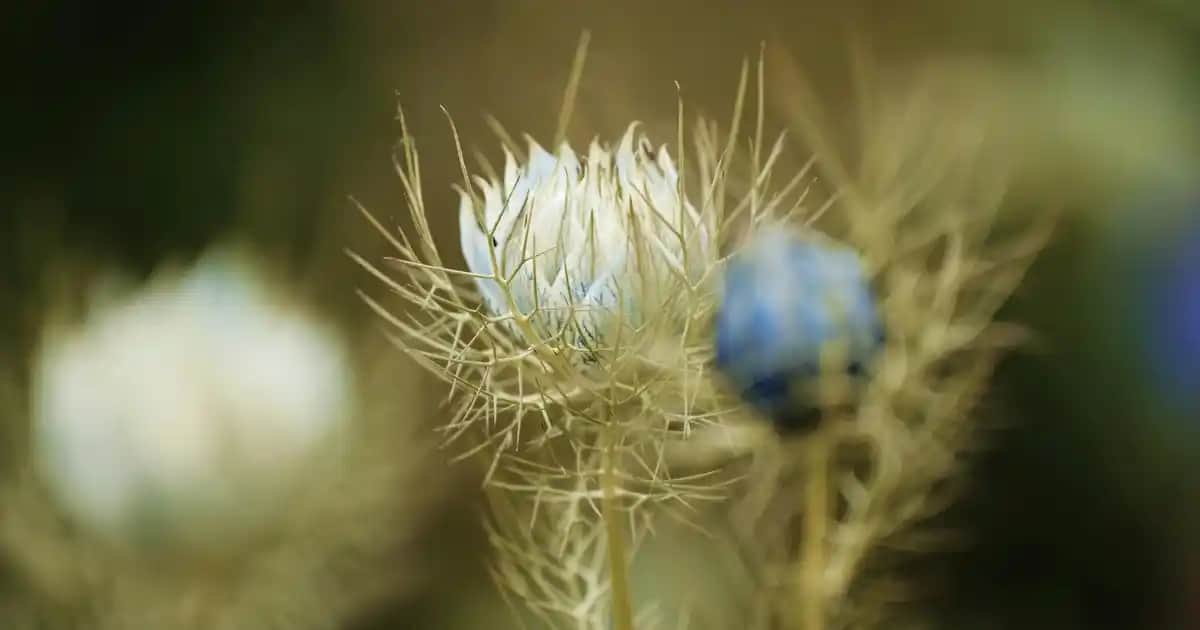 Galaxy Projektörleri ile Ev Dekorasyonunda Yıldızlı ve Büyüleyici Atmosferler Yaratın