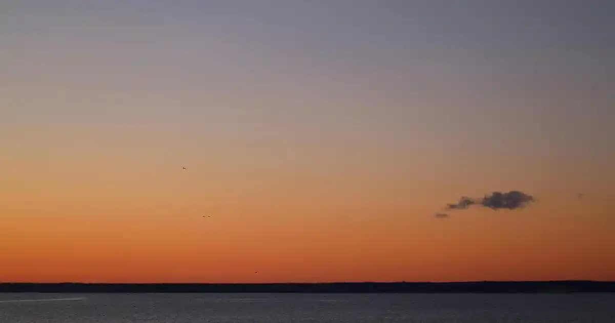 HP 300 Kartuş: Yüksek Performans ve Ekonomik Baskı İçin Güvenilir Seçenek