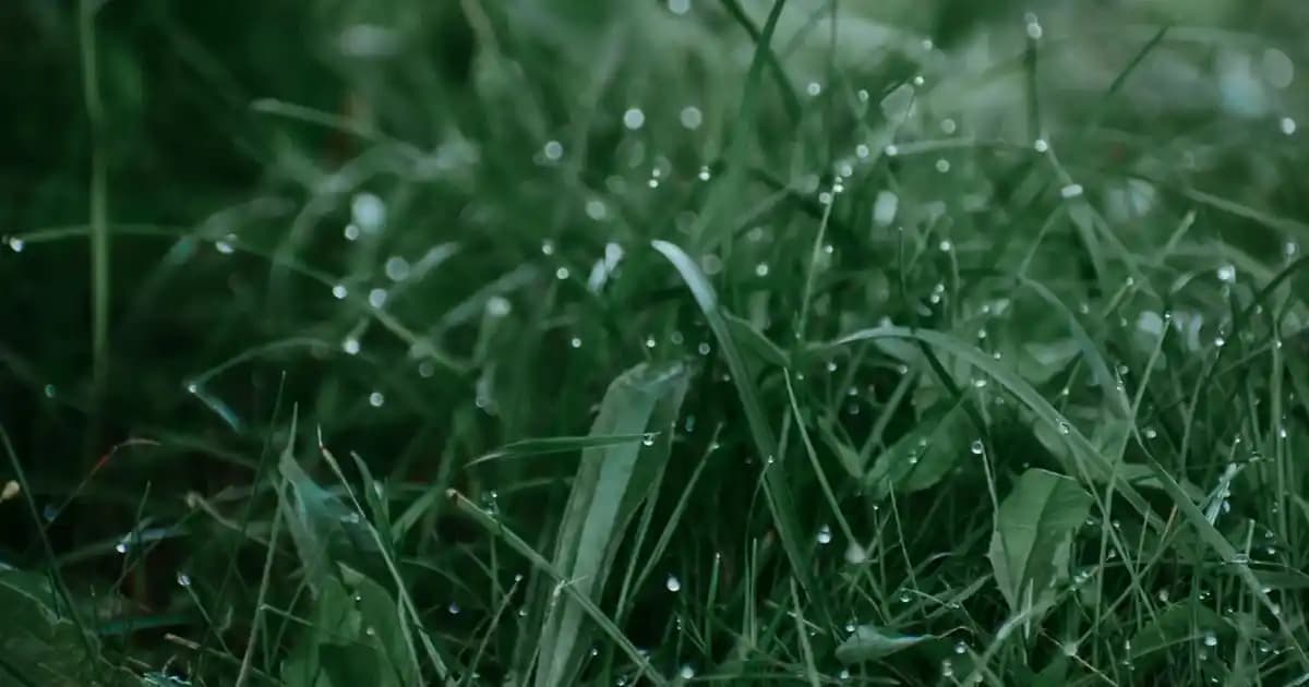 Intel Core i7-9750H İşlemcisi: Yüksek Performans ve Güç Dengesi Sağlayan Mobil İşlemci