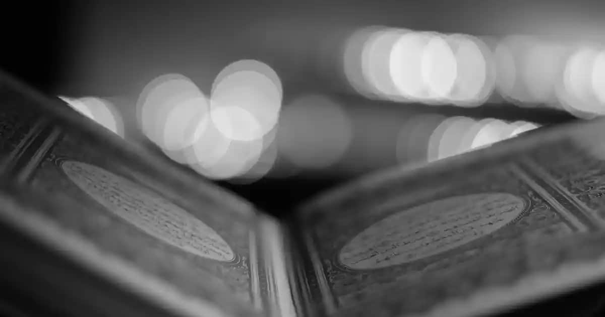 IP Kamera Sistemleri Nedir ve Güvenliği Artırmak İçin Nasıl Seçilir