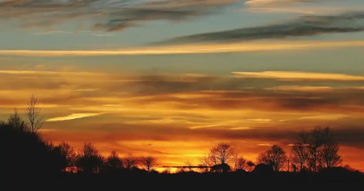 iPhone 12 Pro Max İncelemesi: Gelişmiş Tasarım ve Kamera Özellikleriyle Üst Düzey Akıllı Telefon