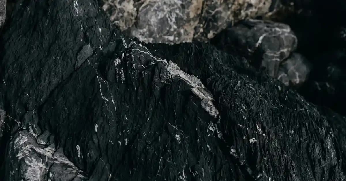 iPhone 13 Mini: Kompakt ve Güçlü Akıllı Telefon Özellikleri ve Kullanım Avantajları