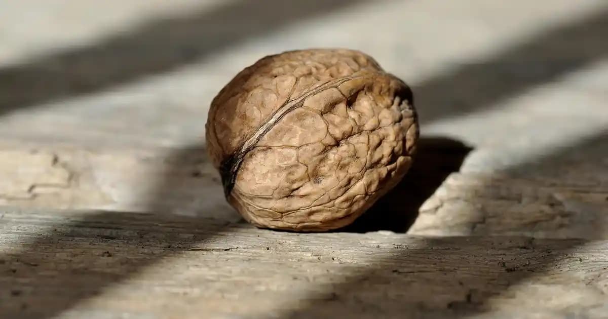 iPhone 13 Pro Teknik Özellikleri ve Tasarım Detaylarıyla Güncel Akıllı Telefon Rehberi