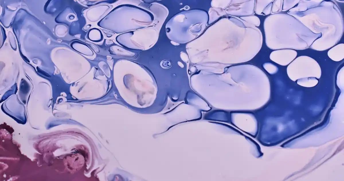 iPhone 14 Özellikleri ve Aksesuar Seçenekleriyle Güncel Teknoloji Trendleri