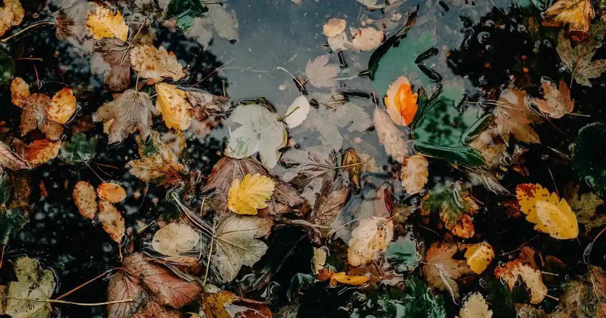 iPhone 7 Kurtarma Modu Kullanımı ve Sorun Çözüm Yöntemleri