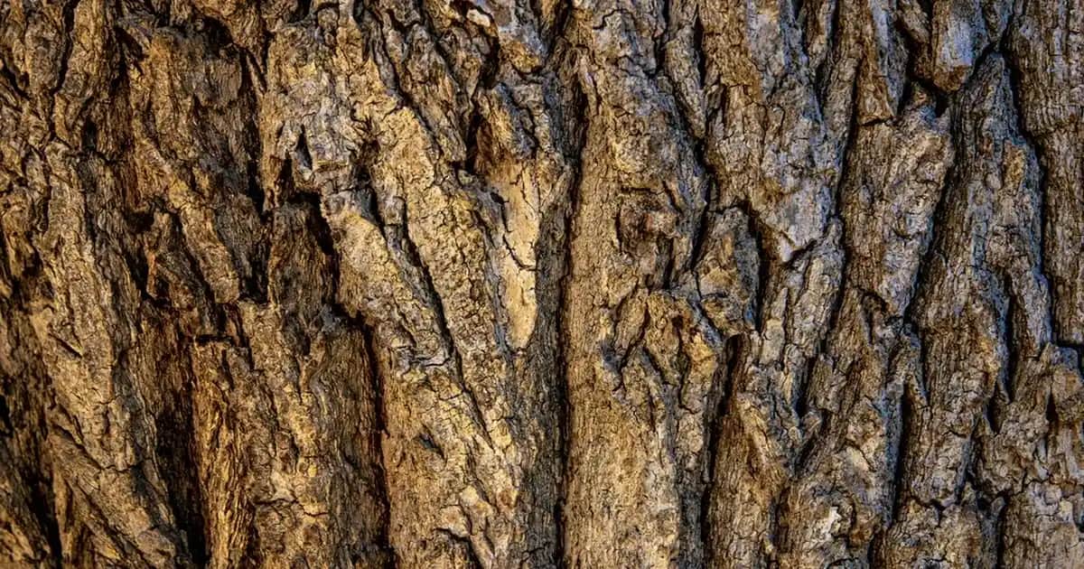 İşletim Sistemi Kurma Rehberi: Adım Adım Kurulum ve Güncelleme Süreçleri