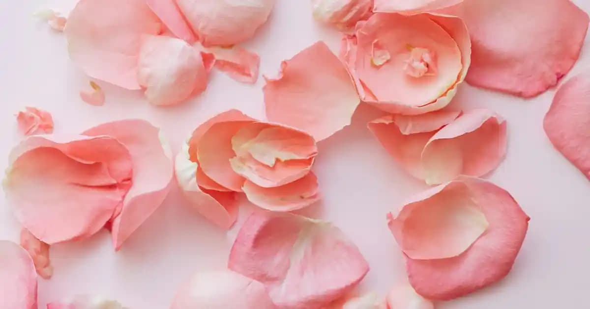 JBL Live 660NC Kablosuz Aktif Gürültü Engelleme Özellikleriyle Üstün Ses Deneyimi